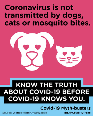 Coronavirus is not transmitted by dogs, cats or mosquito bites.